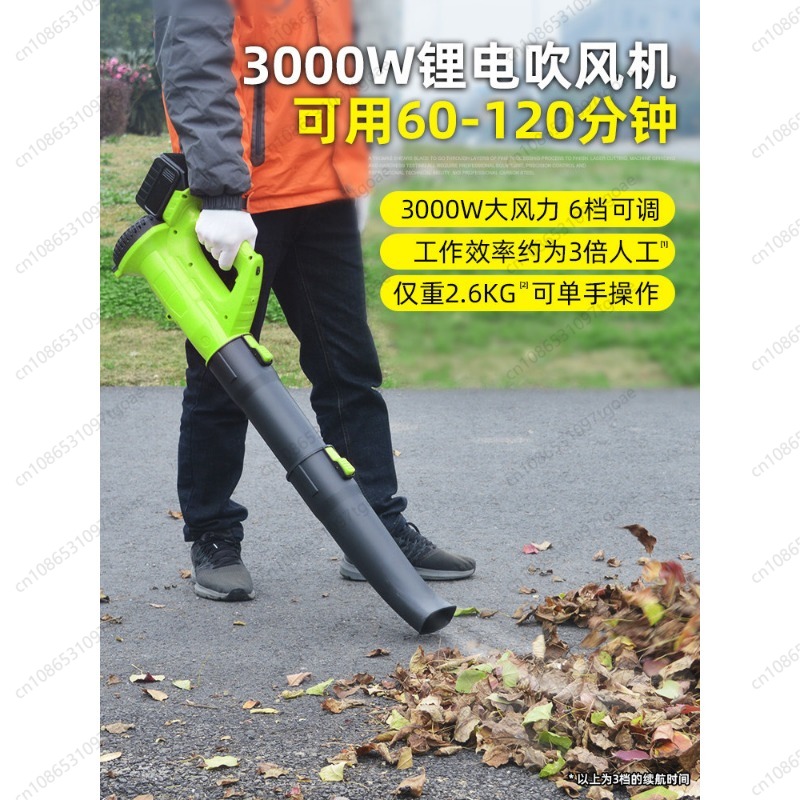Cordless Leaf Blower Rechargea - огляд і ціна Leaf Blower Cordless