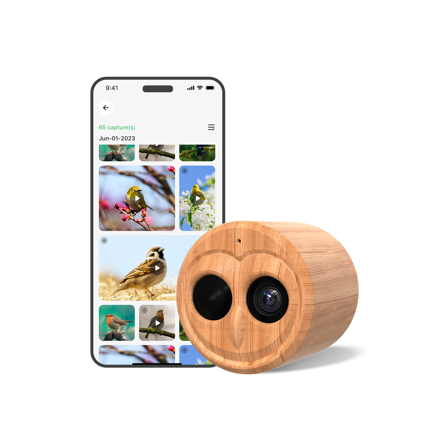 4K Smart Bird Feeder With Came - огляд і ціна Power Outdoor