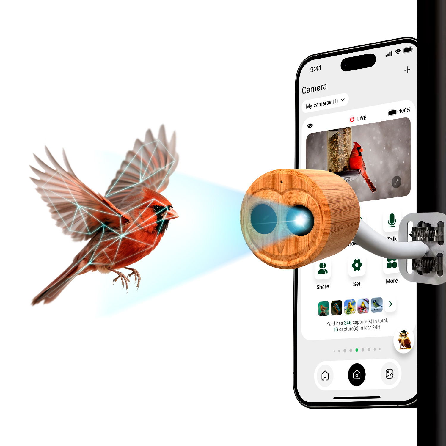 4K Smart Bird Feeder With Came - огляд і ціна Power Outdoor