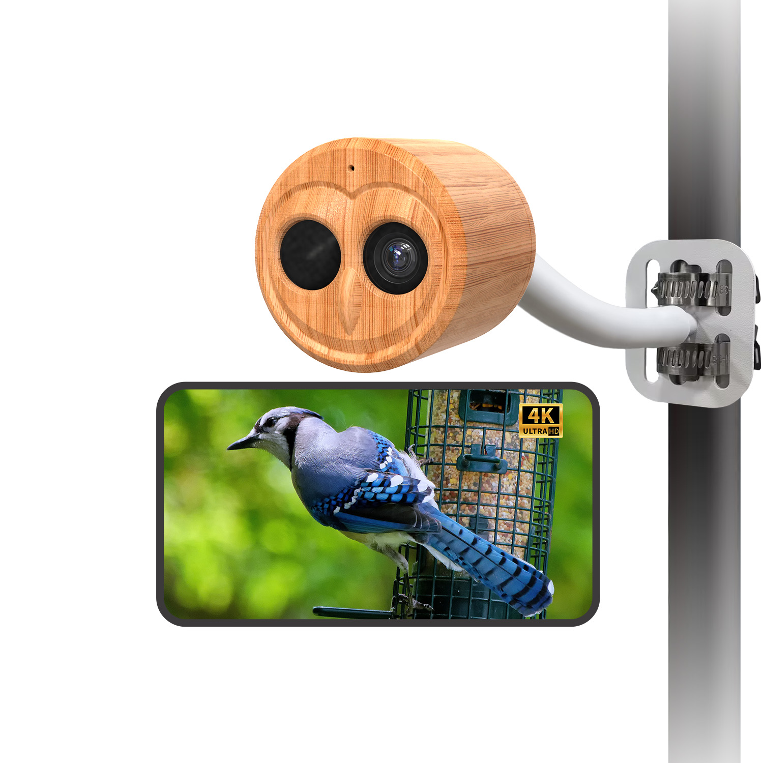 4K Smart Bird Feeder With Came - огляд і ціна Power Outdoor