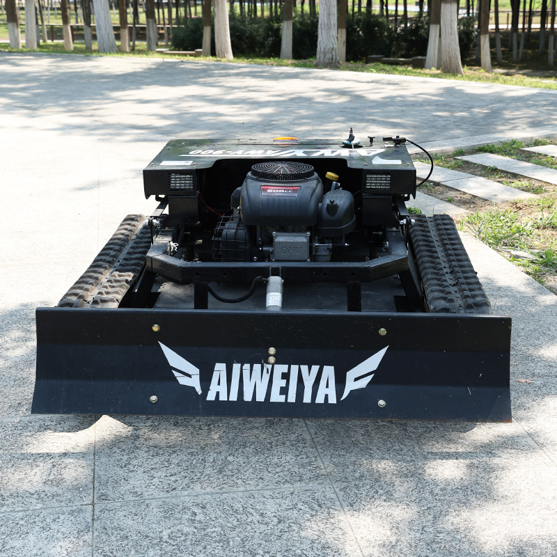 Customized High Power Remote L - огляд і ціна Snow Blower Single